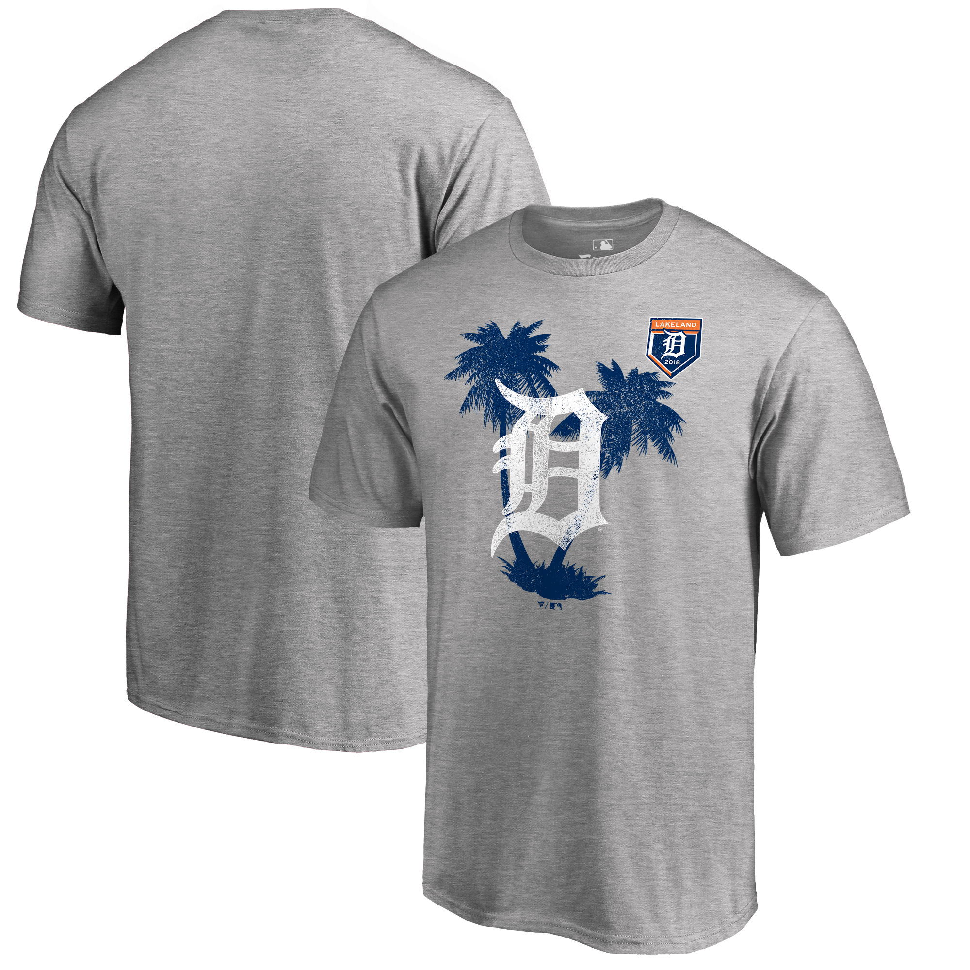 Men's Detroit Tigers Fanatics Branded 2018 Spring Training Vintage Big & Tall T-Shirt – Heather Gray